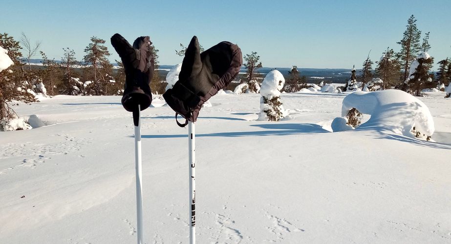 Sneeuwschoenwandeling excursie